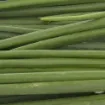 Picture of Spring Onion with roots