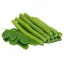 Picture of Drumstick/Moringa