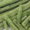 Picture of Drumstick/Moringa