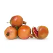 Picture of Pomegranate